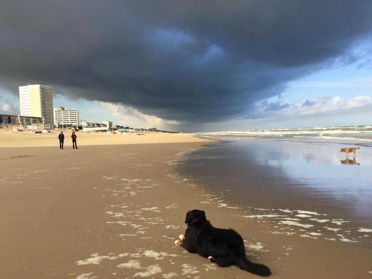 Beach Apartments Zandvoort Dış mekan fotoğraf